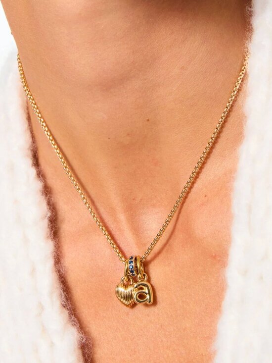 Roxanne Assoulin Jewelry - Roxanne Assoulin The Itsy Bitsy Puffy Initial Charm Necklace Initial "p"
